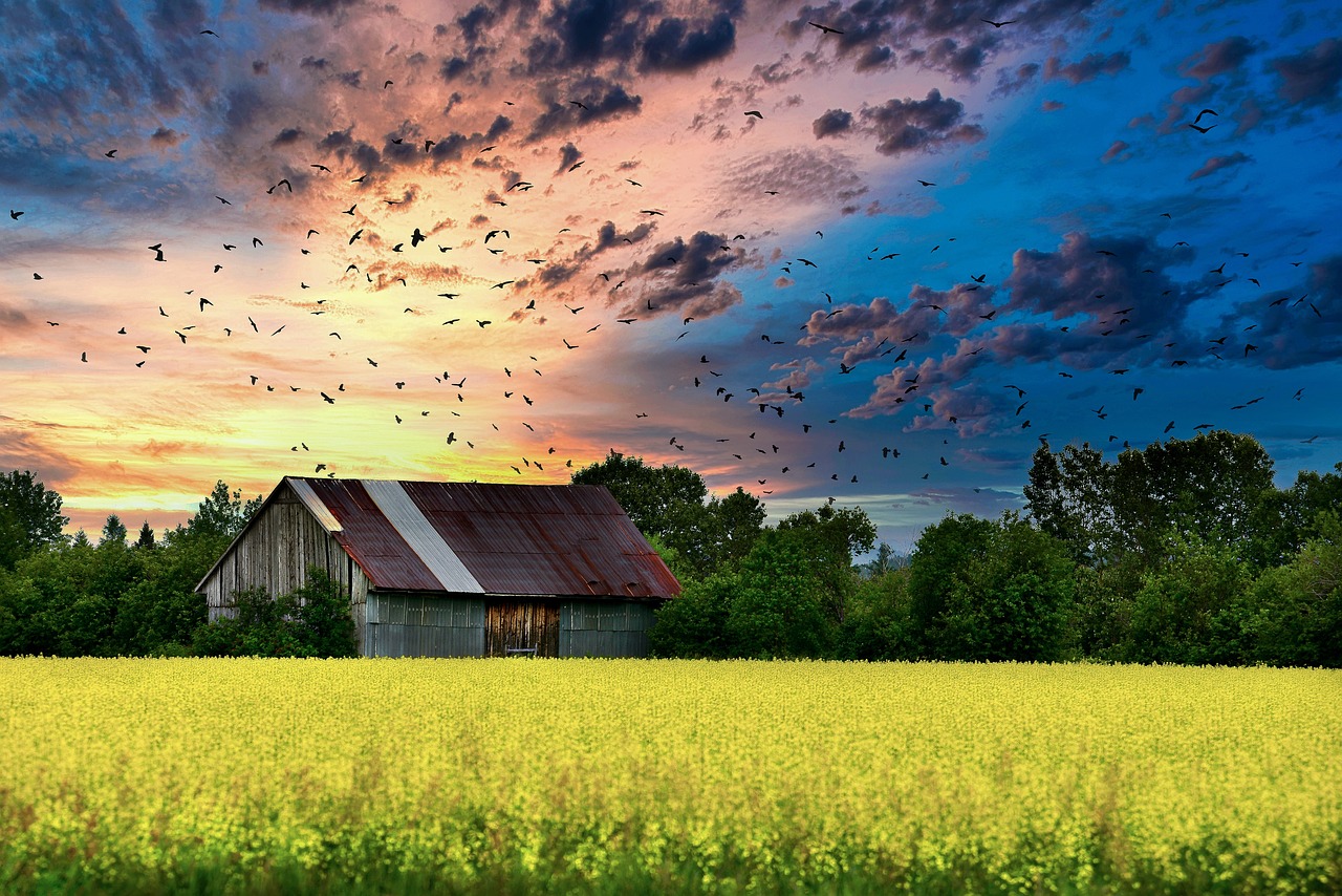 barndominium in texas - financing rural living