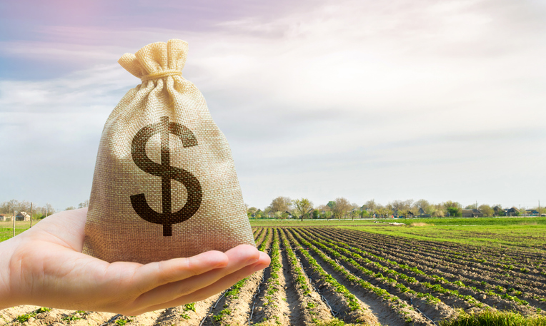 explore rural land loans with Legacy Ag Credit