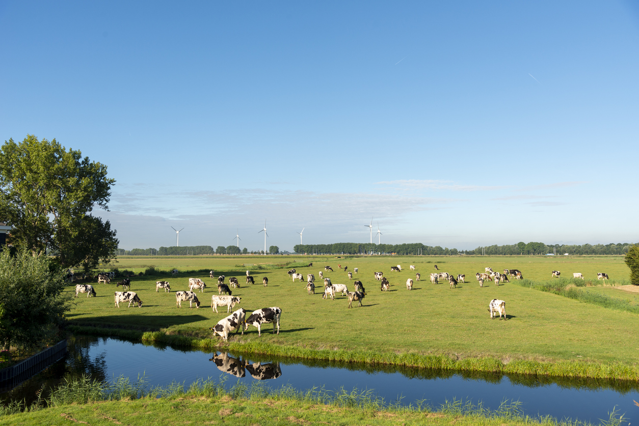 riparian management protecting areas along rivers