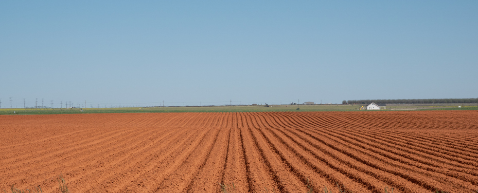 rural land in texas for rent